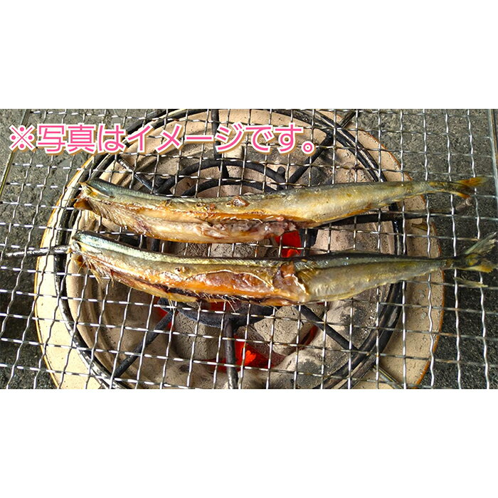 【ふるさと納税】 《訳あり》大和水産の丸干し サンマ 6本セット さんま 秋刀魚 YD-386