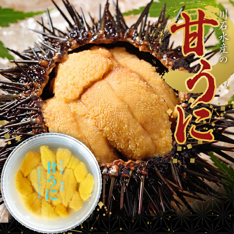 【ふるさと納税】 【2024年先行予約】川石水産の甘うに 容量が選べる 生うに 生ウニ 生雲丹 海栗ミョウバン不使用 無添加 三陸山田 YD-406varのサムネイル