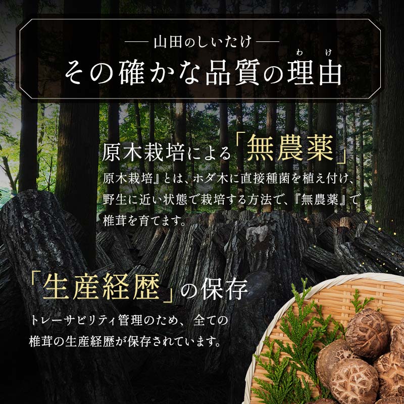 【ふるさと納税】三陸山田産 原木乾椎茸「香信」 しいたけ 三陸山田 山田町 野菜 きのこ きのこ名人 農林水産大臣賞 匠 YD-454