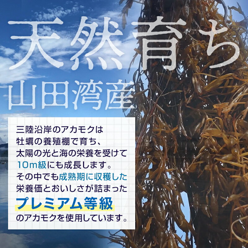岩手県山田町の画像3