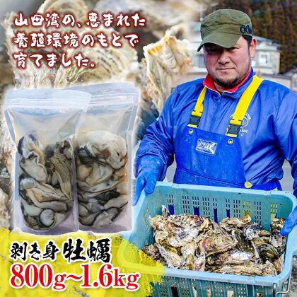 明神丸かき・ほたてきちの剥き身牡蠣セット 3年ものの大粒牡蠣！三陸 山田湾 かき カキ kaki hotate YD-497var