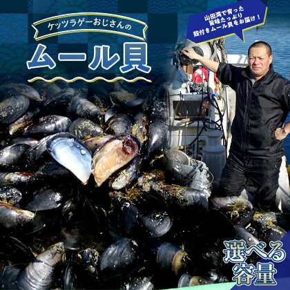 ＼高評価★5！！／ケッツラゲーおじさんのムール貝 2kg／4kg しゅうり貝 殻付きムール貝 山田町 三陸 YD-619var