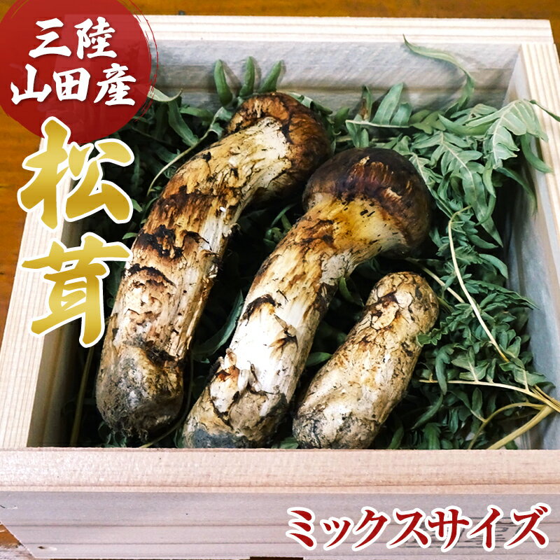 【ふるさと納税】 【2023年先行予約】三陸山田産松茸（ミックスサイズ） YD-405のサムネイル