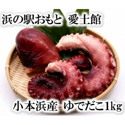 【ふるさと納税】小本浜産 ゆでだこ(ミズダコ)1kg【配送不可地域:離島】【1402743】