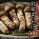 【ふるさと納税】岩泉まつたけ 500g【配送不可地域:離島】【1421537】