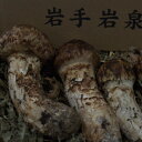 【ふるさと納税】岩泉産朝採り松茸300g【配送不可地域:離島】【1422859】