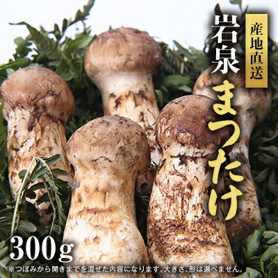 【ふるさと納税】岩泉まつたけ 直送 300g【配送不可地域：離島・沖縄県・九州】【1423380】