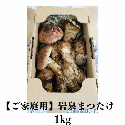 【ふるさと納税】【訳あり】ご家庭用 岩泉まつたけ 直送 1kg【配送不可地域：離島・沖縄県・九州】【1423396】