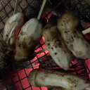 【ふるさと納税】岩泉産・松茸コロ 150g【配送不可地域:離島】【1423455】