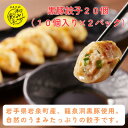 【ふるさと納税】【岩泉黒豚 和み餃子】岩手県岩泉町産 龍泉洞黒豚使用の手包み餃子 20個【配送不可地域:離島】【1540553】