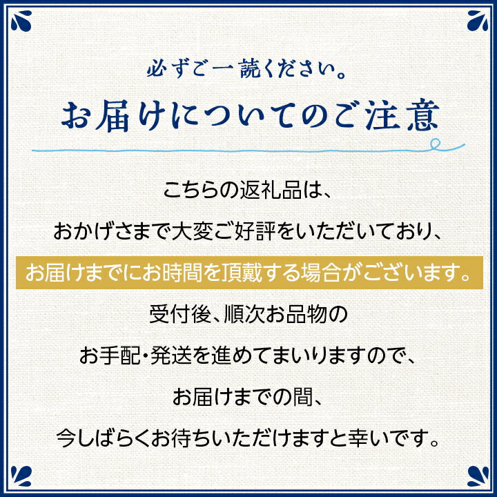 【ふるさと納税】 岩泉ヨーグルト 3袋 セット ( 加糖 1kg × 3袋 )_ ヨーグルト 乳製品 高評価 人気 美味しい 【配送不可地域：離島】【1245865】