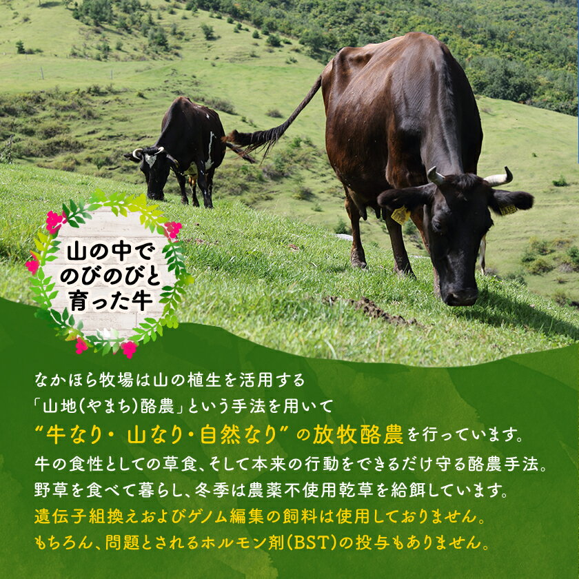 【ふるさと納税】なかほら牧場 ふるさと納税セット【配送不可地域：離島】【1354920】