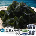 【ふるさと納税】三陸小本浜産湯通し塩蔵わかめ(100g×3袋)・中芯(300g×2袋)セット【配送不可地域:離島】【1568468】