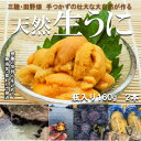 断崖と荒波で育つ田野畑産瓶生うに(180g入り2本)