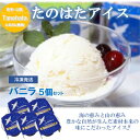 【ふるさと納税】生乳100%で仕上げたなめらかな口溶けアイス バニラ5個セット(120g×5個)【配送不可地域:離島】【1596859】