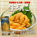 【ふるさと納税】【予約・7月中旬~発送】三陸生うに 180g×1本 国立公園・田野畑村から(瓶入りミョウバン不使用)【配送不可地域:離島・沖縄県・九州】【1657829】