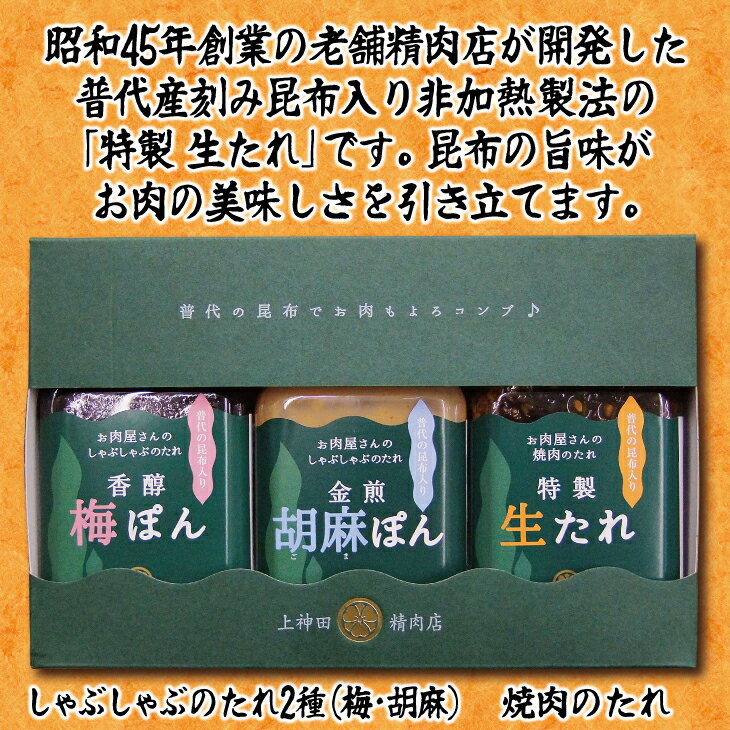 【ふるさと納税】 南部福来豚（ロース・バラ）各300g しゃぶしゃぶ用 と手作りの特製たれ3種詰合せセット 冷蔵配送