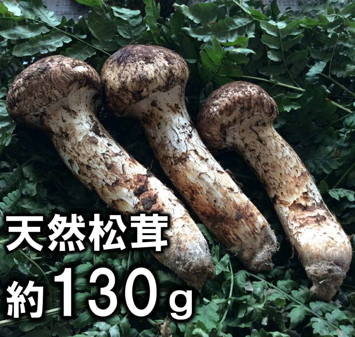 【ふるさと納税】【厳選】 岩手県産 天然松茸 約130g 数量限定9月〜10月期間限定