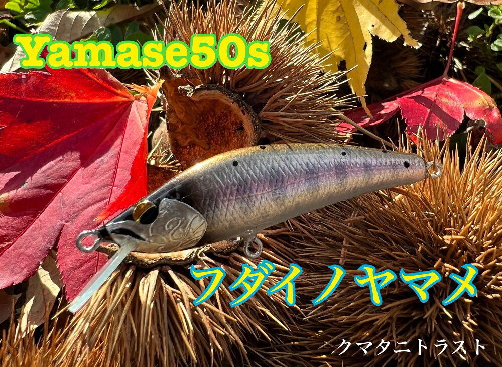 記事番号:36667/アイテムID:415785の画像