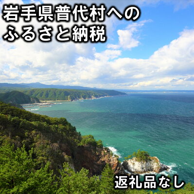 楽天ふるさと納税　【ふるさと納税】返礼品なし 岩手県 普代村