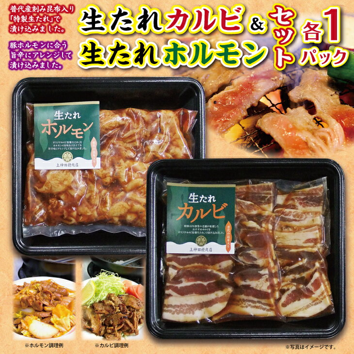 【ふるさと納税】 焼肉 豚 普代の昆布でお肉もよろコンブ♪生たれカルビ(300g)＆生たれホルモン(450g)各1セット 焼肉用