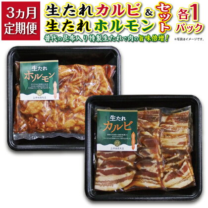 焼肉 豚【定期便】生たれカルビ＆生たれホルモン(各1パック） 焼肉用 3カ月連続お届け