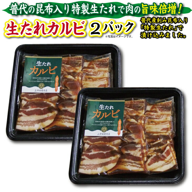 【ふるさと納税】 普代の昆布でお肉もよろコンブ♪生たれカルビ300g×2パック 計600g 豚肉 味付け肉 焼肉用