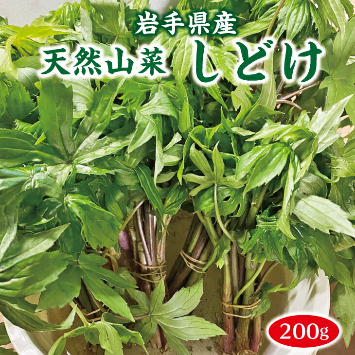 【ふるさと納税】 山菜 《数量限定》 しどけ 約200g 天然山菜 さんさい 野菜 やさい 山の幸 旬