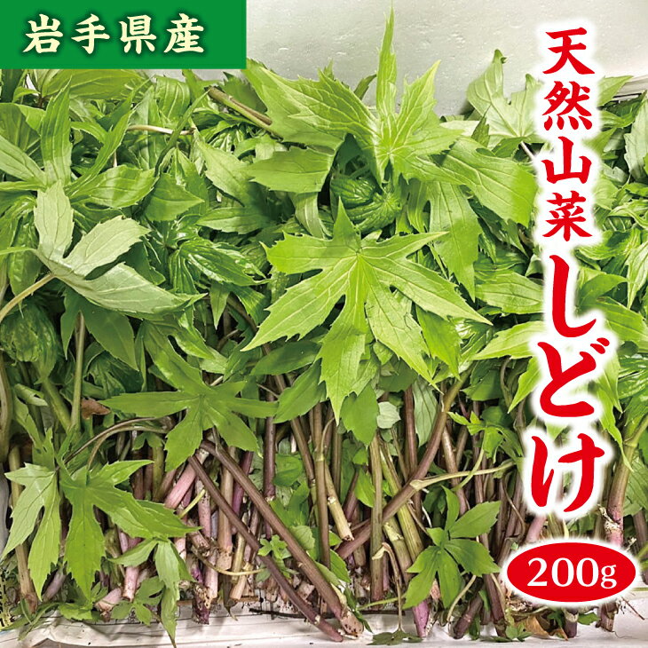 山菜 [数量限定] しどけ 約200g 天然山菜 さんさい 野菜 やさい 山の幸 旬