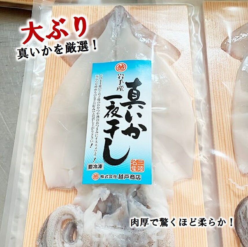 【ふるさと納税】 いか イカ 北三陸産 イカの一夜干し 特大 1枚入 5袋 合計5枚セット スルメイカ BBQ イカ焼き いかめし いかげそ 魚介 海鮮 新鮮 冷凍