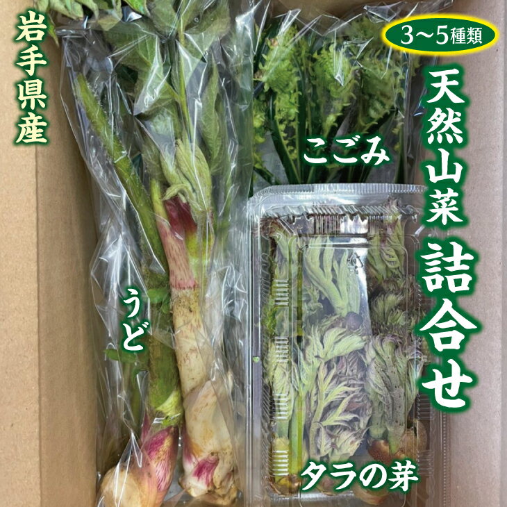 山菜 [期間・数量限定]天然の山菜セット3〜5種類程度 たらのめ しどけ わらび こごみ 山うど コシアブラ 天然山菜 さんさい 野菜 やさい 山の幸 旬