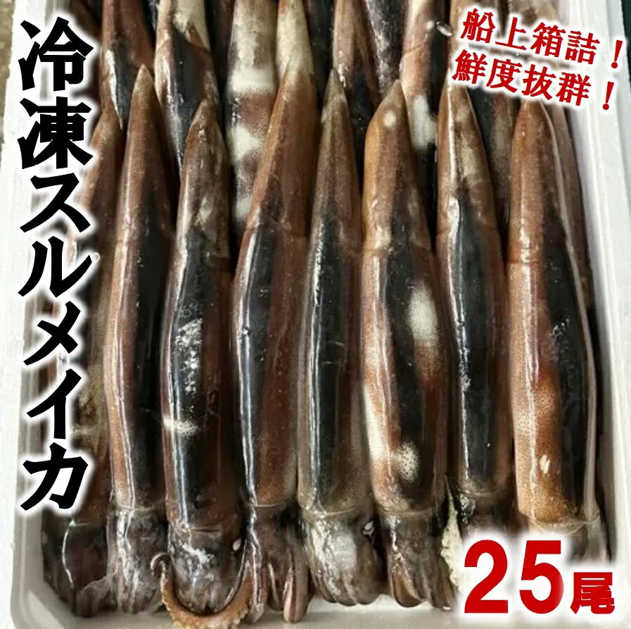 魚介類・水産加工品(イカ)人気ランク12位　口コミ数「1件」評価「1」「【ふるさと納税】 イカ 冷凍スルメイカ25尾入り 鮮度抜群！いか スルメイカ 魚介 海鮮 海の幸 新鮮 鮮度抜群 刺身 塩辛 イカフライ 煮物 姿焼き げそ イカゲソ いかめし イカ焼き いか天 焼き物 天ぷら」