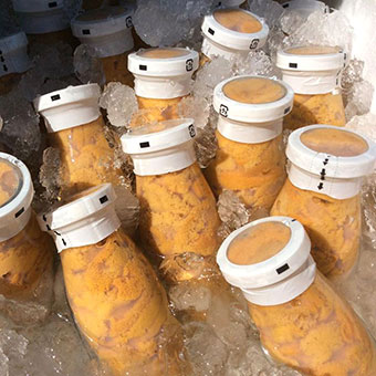 【ふるさと納税】牛乳瓶入り 生うに180g1本・いくら醤油漬け160g1本セット【北三陸】【塩水ウニ】