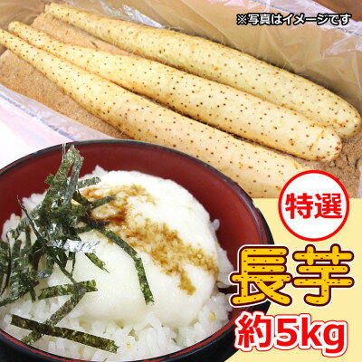 54位! 口コミ数「0件」評価「0」【軽米町産】長芋　約5kg【1033986】