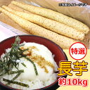 9位! 口コミ数「0件」評価「0」【軽米町産】長芋　約10kg【1033987】