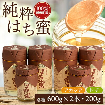 天然ハチミツ2種類6個セット(アカシア600g×2、200g×1、トチ600g×2、200g×1)