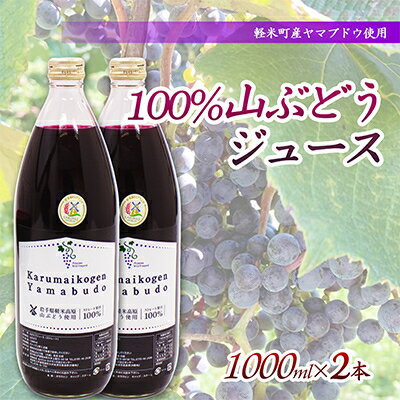 8位! 口コミ数「0件」評価「0」【軽米町産ヤマブドウ使用】100%山ぶどうジュース　1000ml×2本【1101956】