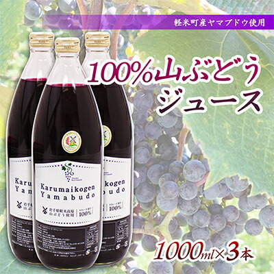 【ふるさと納税】【軽米町産ヤマブドウ使用】100%山ぶどうジュース　1000ml×3本【1101957】