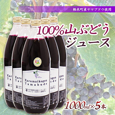 【ふるさと納税】【軽米町産ヤマブドウ使用】100%山ぶどうジュース　1000ml×5本【1101958】