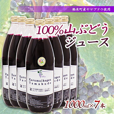 【ふるさと納税】【軽米町産ヤマブドウ使用】100%山ぶどうジュース　1000ml×7本【1101959】