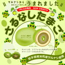 27位! 口コミ数「0件」評価「0」【軽米町産サルナシを使ったお菓子】さるなしたまご9個入×2箱【1351607】