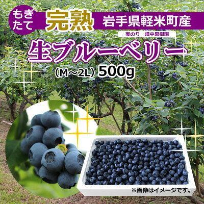 【園主厳選】実のり畑中果樹園産のもぎたて完熟生ブルーベリー約500g(M～2Lサイズ込み)【配送不可地域：離島・北海道・沖縄県・関東・信越、北陸・東海・近畿・中国・四国・九州】【1404982】