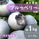 【ふるさと納税】【期間限定】【苅谷果樹園】大粒ブルーベリー(L~2Lサイズ)約1kg 小分けパック 岩手県軽米町【配送不可地域:離島・沖縄県】【1518035】