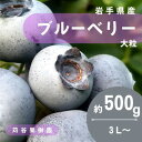 【ふるさと納税】【期間限定】【苅谷果樹園】大粒ブルーベリー(3L~サイズ)約500g 小分けパック 岩手県軽米町【配送不可地域:離島・沖縄県】【1518038】