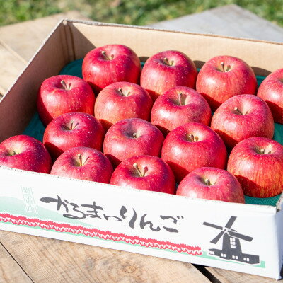 岩手県軽米町産 サンフジリンゴ 約5キロ(16〜18個入り)[配送不可地域:離島・沖縄県]