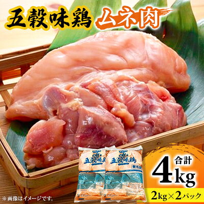 【2025年2月中旬発送】五穀味鶏(ごこくあじどり)ムネ肉4kgセット(2kg×2パック)【配送不可地域：離島】【6716714】