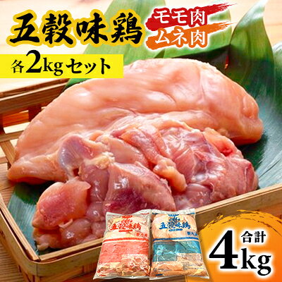 【2025年2月中旬発送】五穀味鶏(ごこくあじどり)モモ肉・ムネ肉 各2kgセット(合計4kg)【配送不可地域：離島】【6716718】