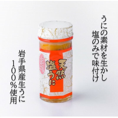 【ふるさと納税】【北三陸産生うに100%使用】天然塩うに 60g×1本 ミョウバン不使用【配送不可地域：離島】【1380090】