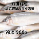 【ふるさと納税】野田村産　清流安家川育ち美鮎　500g【配送不可地域：離島】【1481002】