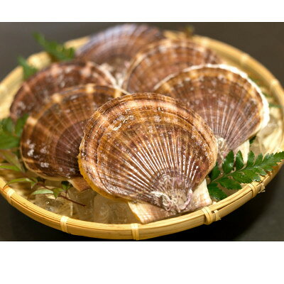 【数量限定～12/31まで受付!】岩手 野田村 荒海ホタテ 1kg(8～10枚入り)殻付き ヘラ付き【配送不可地域：離島・北海道・沖縄県・関東・信越、北陸・東海・近畿・中国・四国・九州】【1584897】